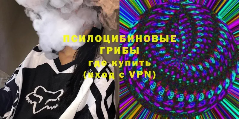 shop телеграм  купить   Дюртюли  Галлюциногенные грибы Magic Shrooms 